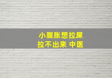 小腹胀想拉屎拉不出来 中医